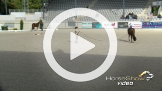 Play video